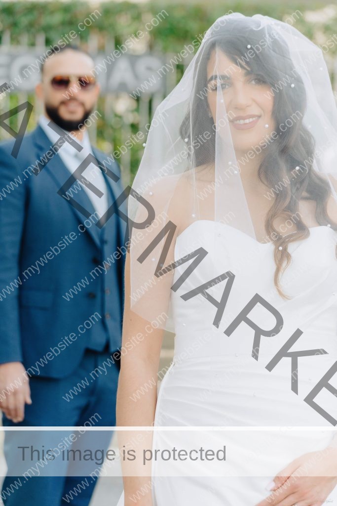 Nora & abdelhalim wedding best off hak production 10