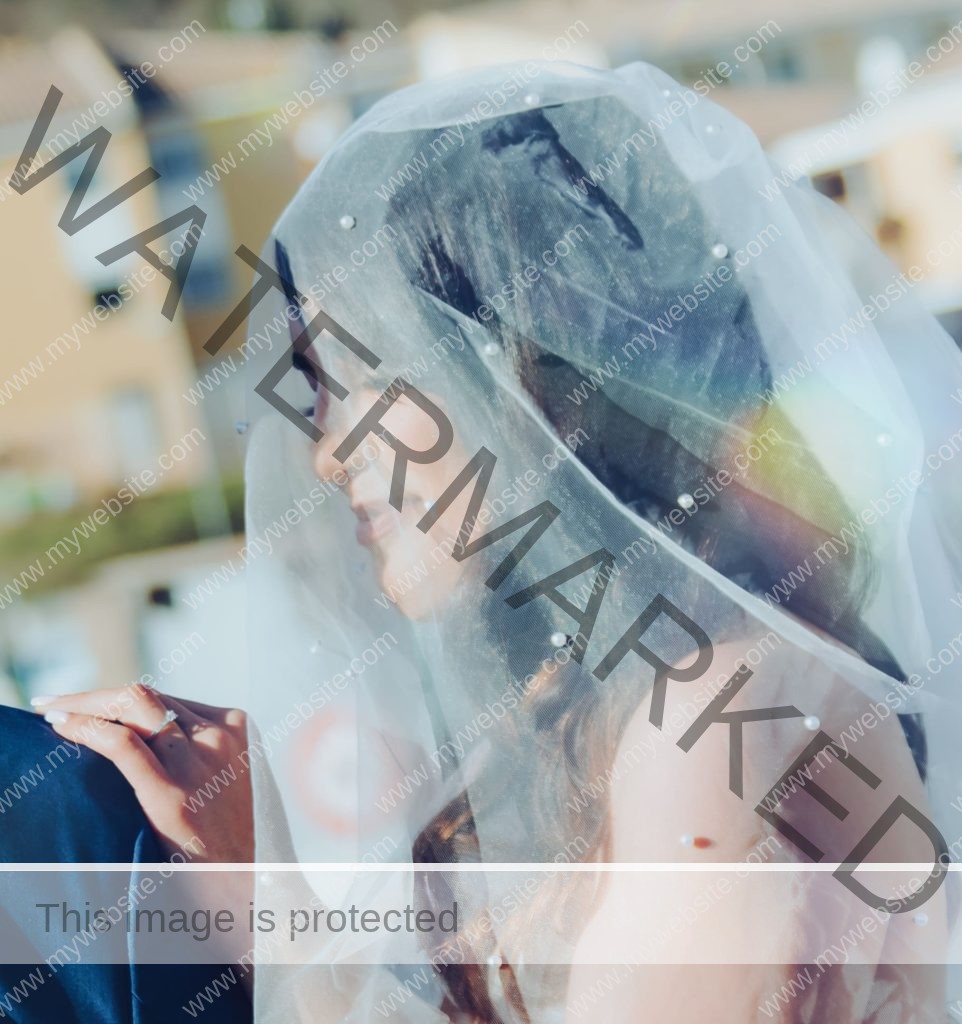 Nora & abdelhalim wedding best off hak production 22