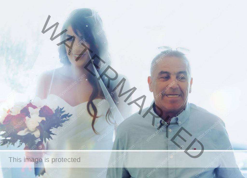 Nora & abdelhalim wedding best off hak production 25