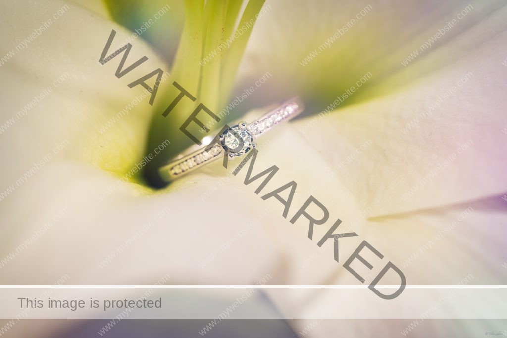 Nora & abdelhalim wedding best off hak production 35